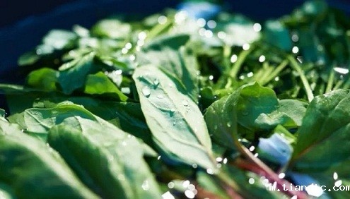 3138.webp.jpg 3138.webp.jpg