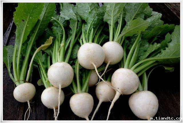 11.227.png 11.227.png