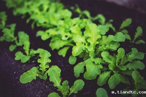 3135.webp.jpg 3135.webp.jpg