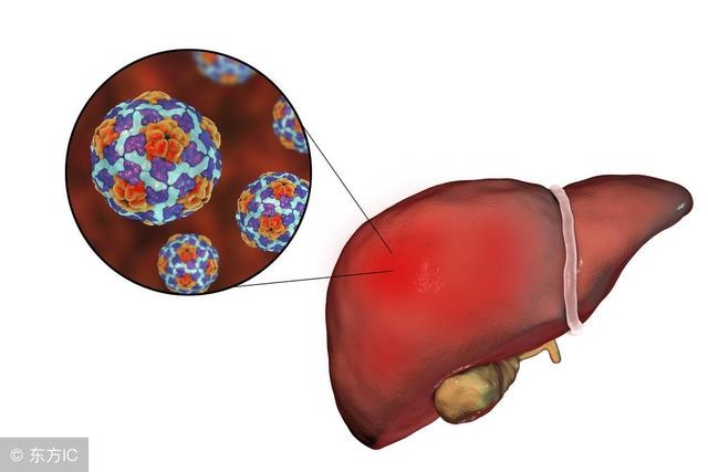 15353518475456b6495de41.jpg 15353518475456b6495de41.jpg