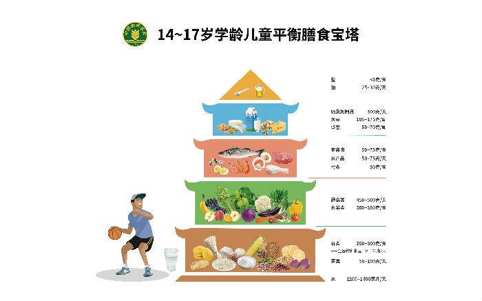 14~17岁学龄儿童平衡膳食宝塔.jpg