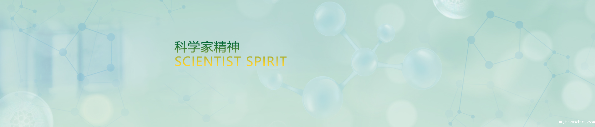 科学家精神banner